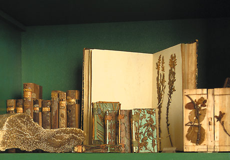 NMO – Naturkundemuseum Ostbayern – Geschichte – Holzbibliothek Candidus Huber