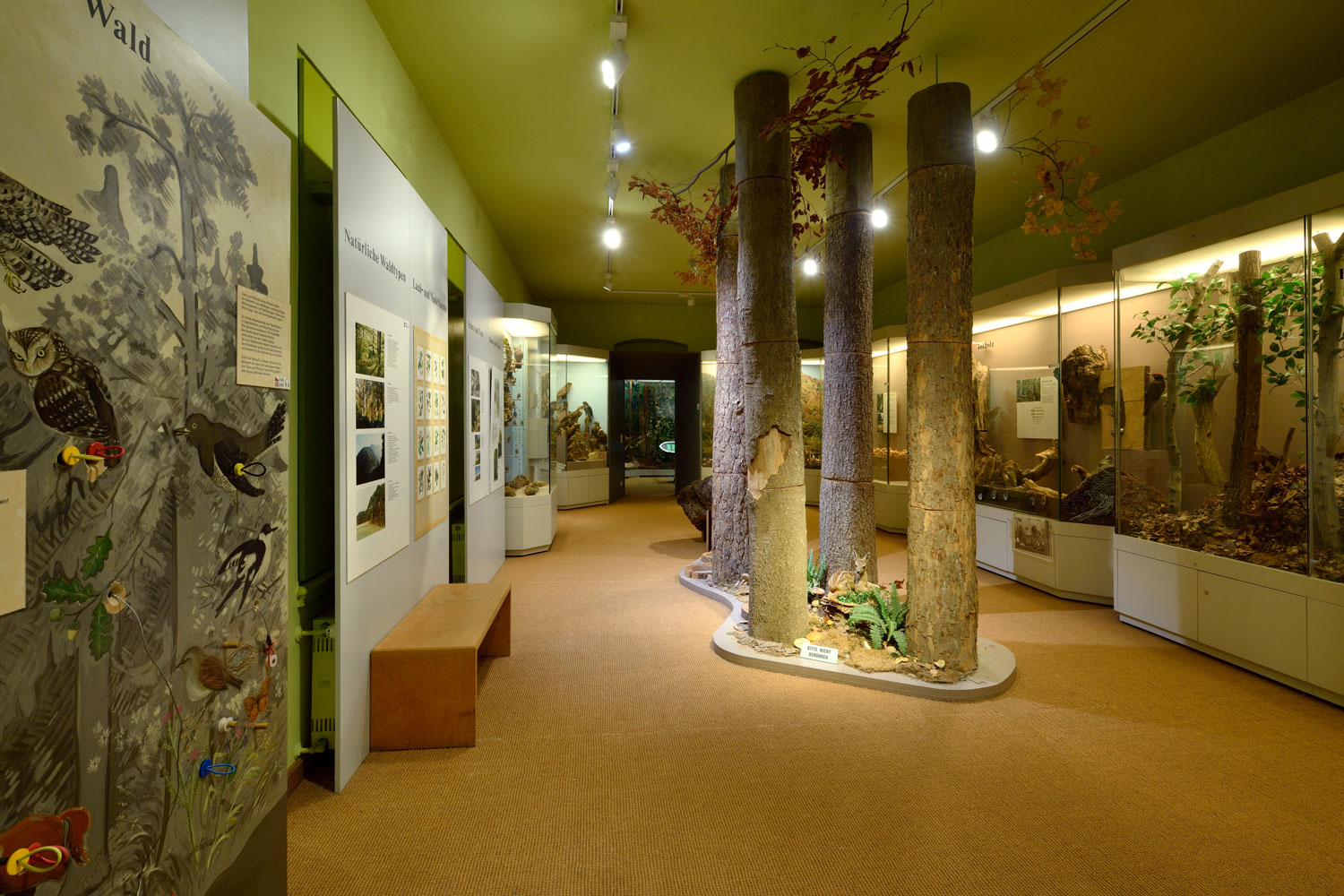 Waldabteilung Ausstellung